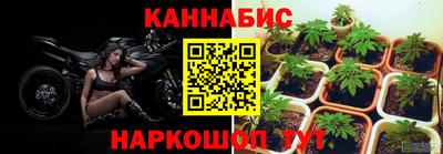 гашик Бузулук