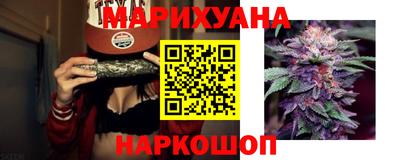 гашик Бузулук