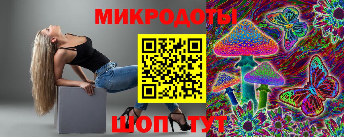Элиста  Галлюциногенные грибы Psilocybe  Вход с VPN 